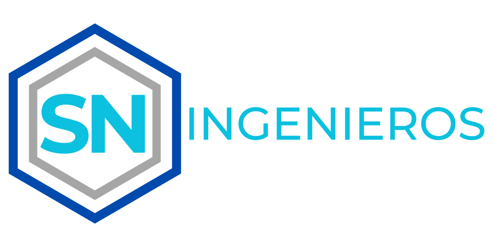 sningenieros.com